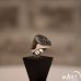 Ancient Egyptian Ring - Eye of Horus Ring - Silver and Gold