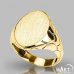 Custom Initial Signet Ring - Monogram ring Oval Reptile - Silver and Gold